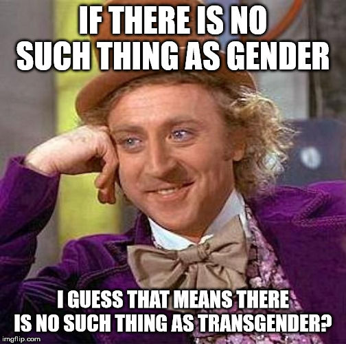 I guess that means it is all part of this social construct they keep harping about? | IF THERE IS NO SUCH THING AS GENDER; I GUESS THAT MEANS THERE IS NO SUCH THING AS TRANSGENDER? | image tagged in creepy condescending wonka,stupid liberals,liberal hypocrisy,lies,fake people | made w/ Imgflip meme maker
