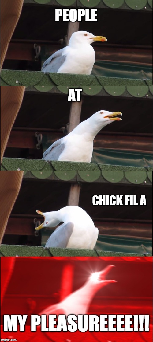 Inhaling Seagull Meme | PEOPLE; AT; CHICK FIL A; MY PLEASUREEEE!!! | image tagged in memes,inhaling seagull | made w/ Imgflip meme maker