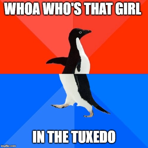 Socially Awesome Awkward Penguin Meme | WHOA WHO'S THAT GIRL; IN THE TUXEDO | image tagged in memes,socially awesome awkward penguin | made w/ Imgflip meme maker