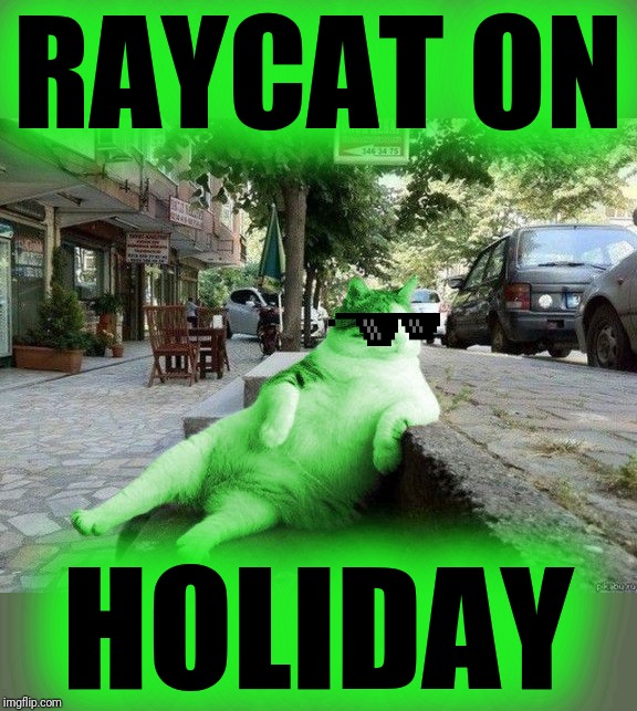 RayCat relaxing | RAYCAT ON HOLIDAY | image tagged in raycat relaxing | made w/ Imgflip meme maker