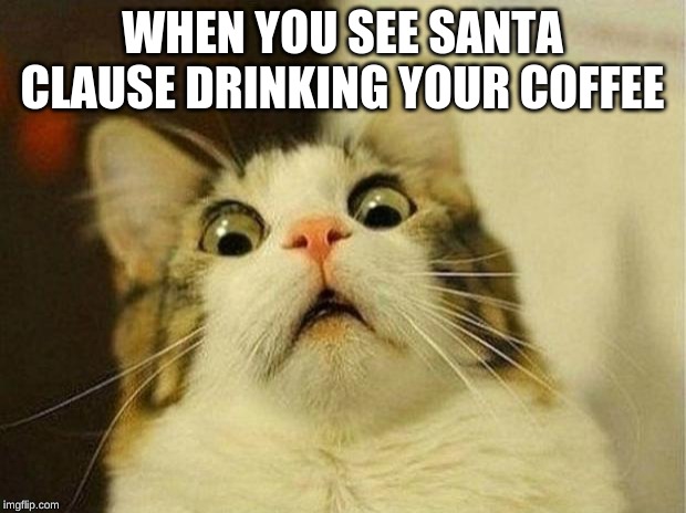 Scared Cat Meme | WHEN YOU SEE SANTA CLAUSE DRINKING YOUR COFFEE | image tagged in memes,scared cat | made w/ Imgflip meme maker