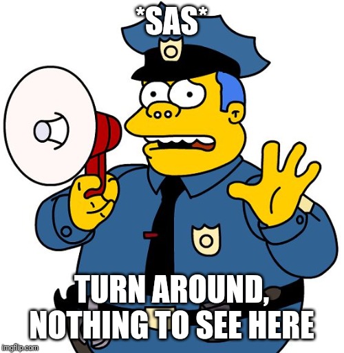 Nothing to See Here | *SAS*; TURN AROUND, NOTHING TO SEE HERE | image tagged in nothing to see here | made w/ Imgflip meme maker