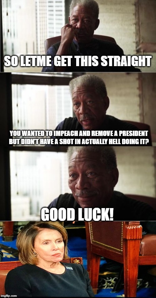Thanks for the Waste! | SO LETME GET THIS STRAIGHT; YOU WANTED TO IMPEACH AND REMOVE A PRESIDENT BUT DIDN'T HAVE A SHOT IN ACTUALLY HELL DOING IT? GOOD LUCK! | image tagged in memes,morgan freeman good luck | made w/ Imgflip meme maker