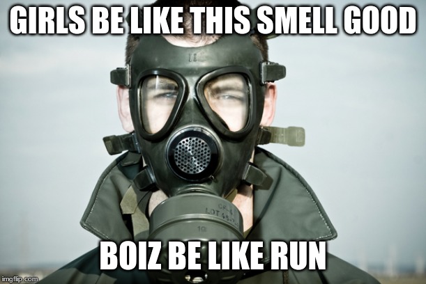 Too much perfume | GIRLS BE LIKE THIS SMELL GOOD; BOIZ BE LIKE RUN | image tagged in too much perfume | made w/ Imgflip meme maker