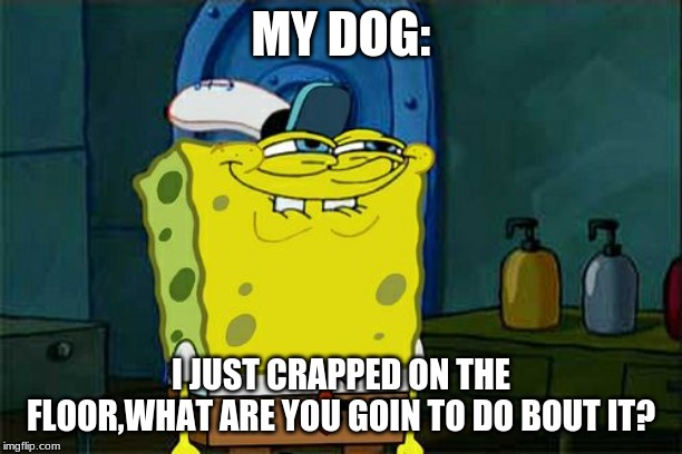 Don't You Squidward Meme | MY DOG:; I JUST CRAPPED ON THE FLOOR,WHAT ARE YOU GOIN TO DO BOUT IT? | image tagged in memes,dont you squidward | made w/ Imgflip meme maker