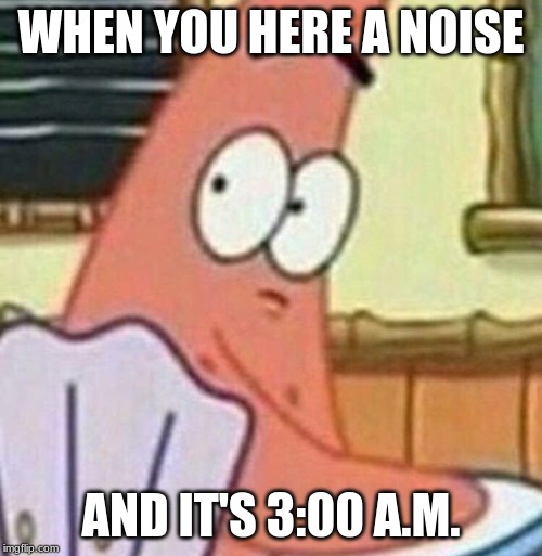 WHEN YOU HERE A NOISE; AND IT'S 3:00 A.M. | image tagged in evil plotting raccoon | made w/ Imgflip meme maker