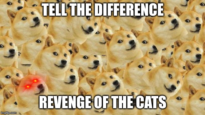 Multi Doge Meme | TELL THE DIFFERENCE; REVENGE OF THE CATS | image tagged in memes,multi doge,cats | made w/ Imgflip meme maker