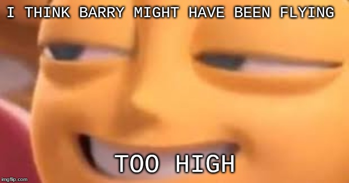 I THINK BARRY MIGHT HAVE BEEN FLYING; TOO HIGH | image tagged in bee | made w/ Imgflip meme maker