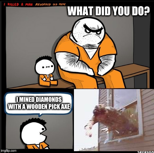 LOL WUT | WHAT DID YOU DO? I MINED DIAMONDS WITH A WOODEN PICK AXE | image tagged in srgrafo dude wtf,memes,funny memes | made w/ Imgflip meme maker