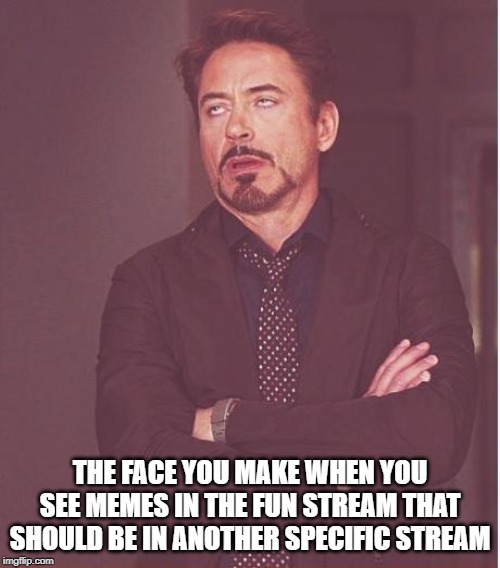 C'mon People Smh | THE FACE YOU MAKE WHEN YOU SEE MEMES IN THE FUN STREAM THAT SHOULD BE IN ANOTHER SPECIFIC STREAM | image tagged in memes,face you make robert downey jr | made w/ Imgflip meme maker