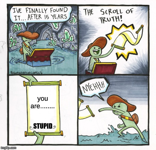 The Scroll Of Truth | you are........ STUPID | image tagged in memes,the scroll of truth | made w/ Imgflip meme maker