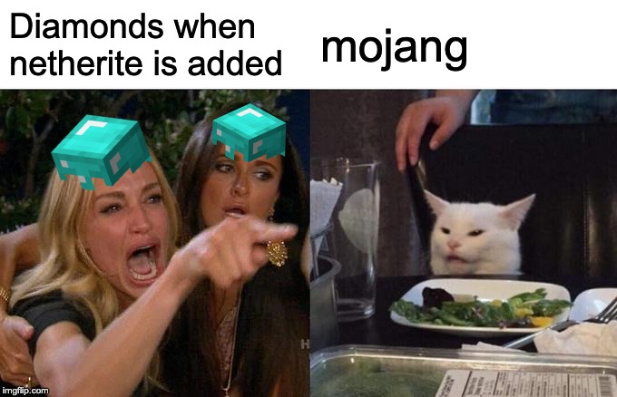 Woman Yelling At Cat Meme | Diamonds when netherite is added; mojang | image tagged in memes,woman yelling at cat | made w/ Imgflip meme maker