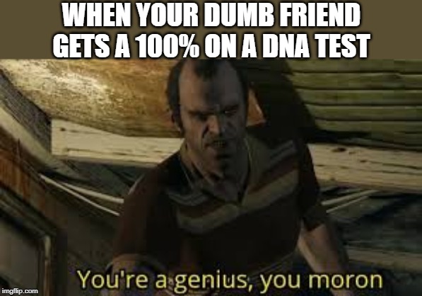 WHEN YOUR DUMB FRIEND GETS A 100% ON A DNA TEST | image tagged in genius,moron,gtav | made w/ Imgflip meme maker