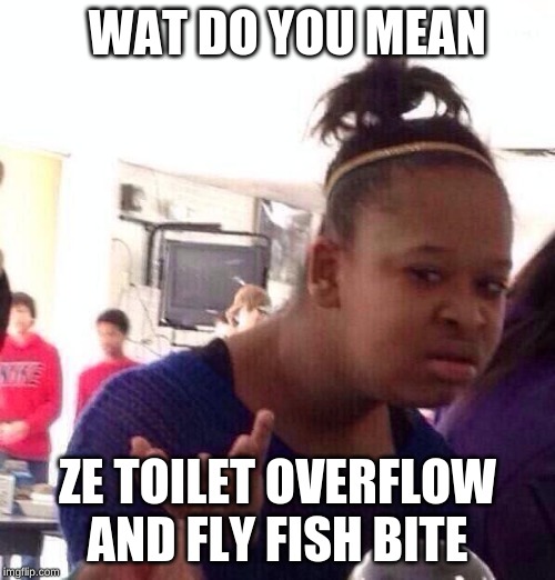 Black Girl Wat | WAT DO YOU MEAN; ZE TOILET OVERFLOW AND FLY FISH BITE | image tagged in memes,black girl wat | made w/ Imgflip meme maker