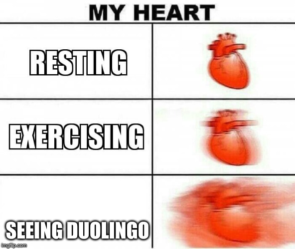 MY HEART | SEEING DUOLINGO | image tagged in my heart,duolingo,heart rate | made w/ Imgflip meme maker
