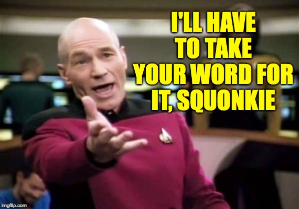 Picard Wtf Meme | I'LL HAVE TO TAKE YOUR WORD FOR IT, SQUONKIE | image tagged in memes,picard wtf | made w/ Imgflip meme maker