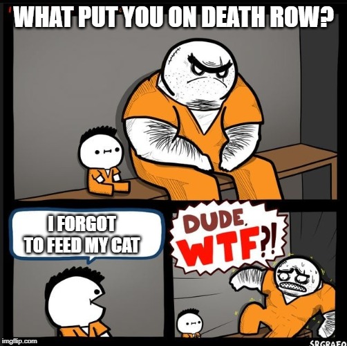Thou Shall Not Be Forgiven By the  Cat Overlords. | WHAT PUT YOU ON DEATH ROW? I FORGOT TO FEED MY CAT | image tagged in srgrafo dude wtf | made w/ Imgflip meme maker
