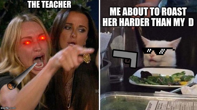 Angry lady cat | THE TEACHER; ME ABOUT TO ROAST HER HARDER THAN MY  D | image tagged in angry lady cat | made w/ Imgflip meme maker