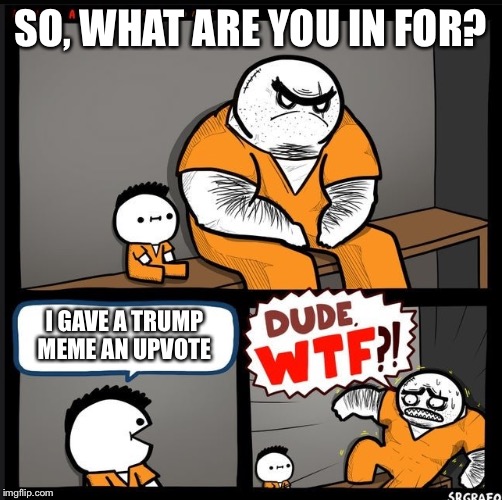 Srgrafo dude wtf | SO, WHAT ARE YOU IN FOR? I GAVE A TRUMP MEME AN UPVOTE | image tagged in srgrafo dude wtf | made w/ Imgflip meme maker