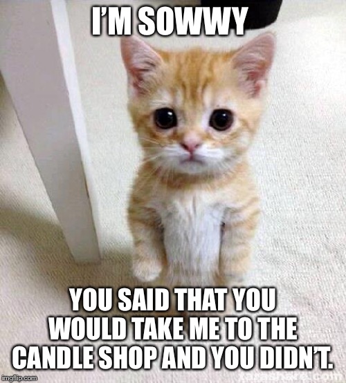 Cute Cat | I’M SOWWY; YOU SAID THAT YOU WOULD TAKE ME TO THE CANDLE SHOP AND YOU DIDN’T. | image tagged in memes,cute cat | made w/ Imgflip meme maker