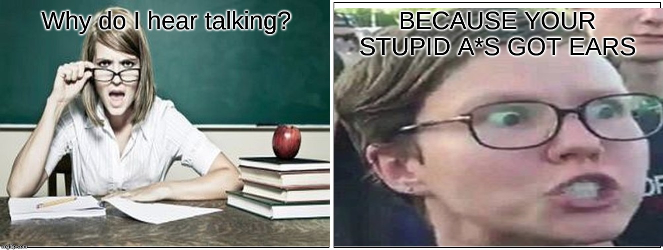 Blank Comic Panel 2x1 | Why do I hear talking? BECAUSE YOUR STUPID A*S GOT EARS | image tagged in memes,blank comic panel 2x1 | made w/ Imgflip meme maker