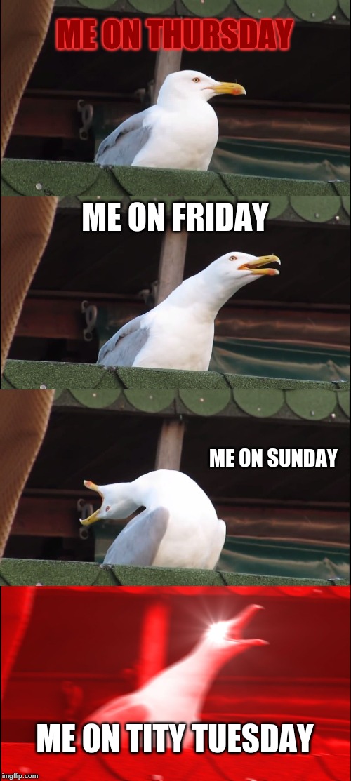 Inhaling Seagull | ME ON THURSDAY; ME ON FRIDAY; ME ON SUNDAY; ME ON TITY TUESDAY | image tagged in memes,inhaling seagull | made w/ Imgflip meme maker