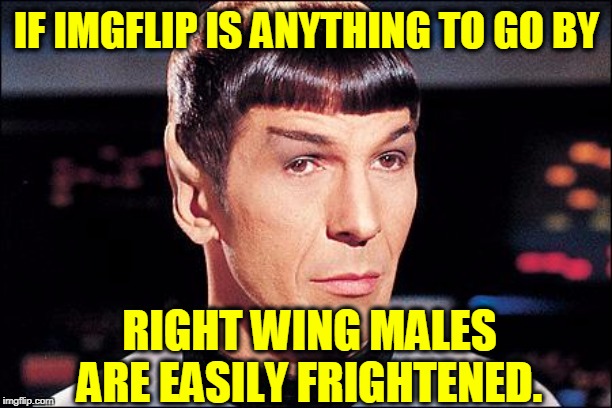 Condescending Spock | IF IMGFLIP IS ANYTHING TO GO BY RIGHT WING MALES ARE EASILY FRIGHTENED. | image tagged in condescending spock | made w/ Imgflip meme maker