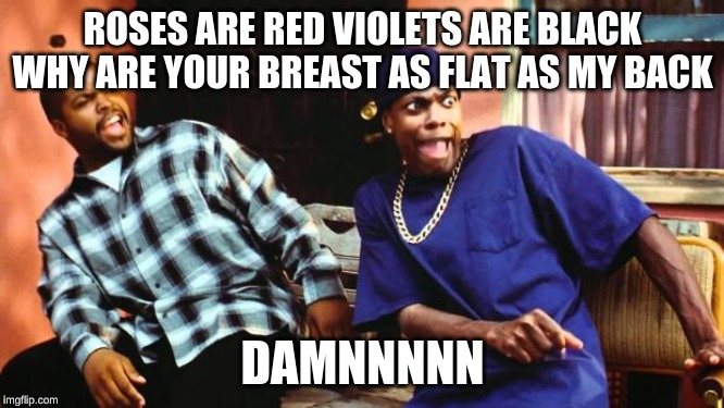 Ice Cube Damn | ROSES ARE RED VIOLETS ARE BLACK WHY ARE YOUR BREAST AS FLAT AS MY BACK; DAMNNNNN | image tagged in ice cube damn | made w/ Imgflip meme maker