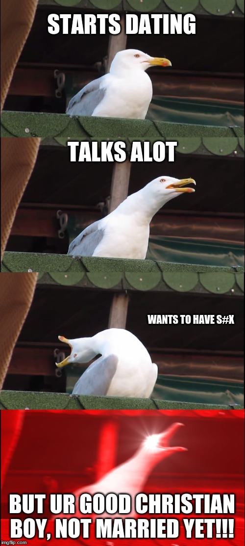 Inhaling Seagull Meme | STARTS DATING; TALKS ALOT; WANTS TO HAVE S#X; BUT UR GOOD CHRISTIAN BOY, NOT MARRIED YET!!! | image tagged in memes,inhaling seagull | made w/ Imgflip meme maker