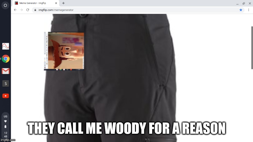 THEY CALL ME WOODY FOR A REASON | image tagged in woody | made w/ Imgflip meme maker