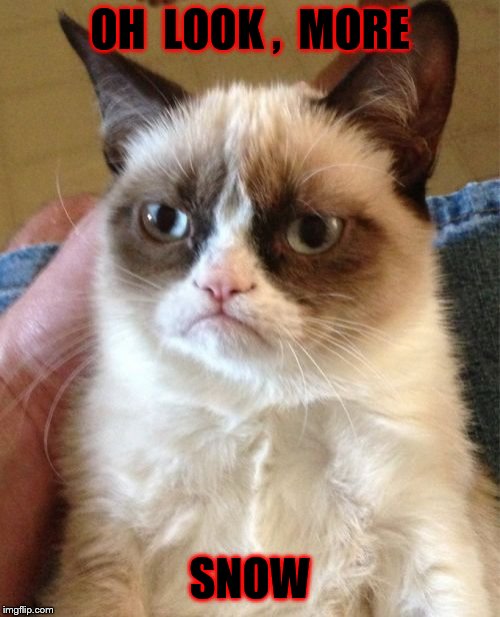 Grumpy Cat | OH  LOOK ,  MORE; SNOW | image tagged in memes,grumpy cat | made w/ Imgflip meme maker