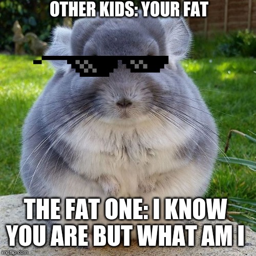 Fat kid | OTHER KIDS: YOUR FAT; THE FAT ONE: I KNOW YOU ARE BUT WHAT AM I | image tagged in glasses | made w/ Imgflip meme maker