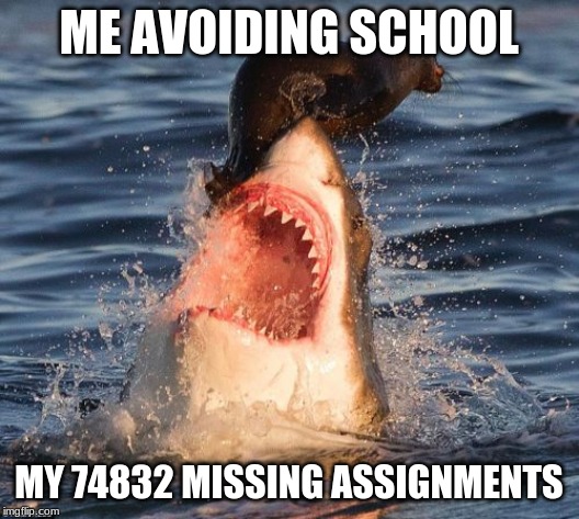 Travelonshark | ME AVOIDING SCHOOL; MY 74832 MISSING ASSIGNMENTS | image tagged in memes,travelonshark | made w/ Imgflip meme maker
