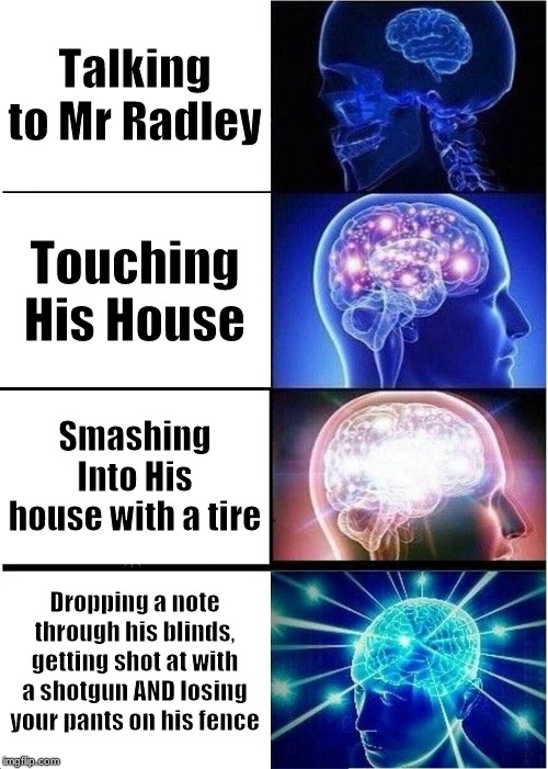 Expanding Brain | Talking to Mr Radley; Touching His House; Smashing Into His house with a tire; Dropping a note through his blinds, getting shot at with a shotgun AND losing your pants on his fence | image tagged in memes,expanding brain | made w/ Imgflip meme maker