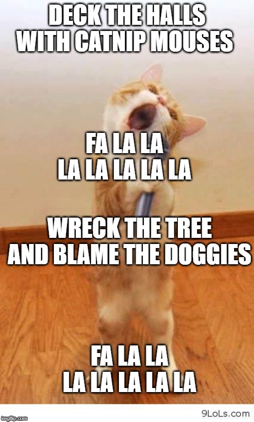 Cat Singer | DECK THE HALLS WITH CATNIP MOUSES; FA LA LA LA LA LA LA LA; WRECK THE TREE AND BLAME THE DOGGIES; FA LA LA LA LA LA LA LA | image tagged in cat singer | made w/ Imgflip meme maker