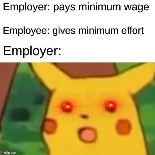 Surprised Pikachu | Employer: pays minimum wage; Employee: gives minimum effort; Employer: | image tagged in memes,surprised pikachu | made w/ Imgflip meme maker
