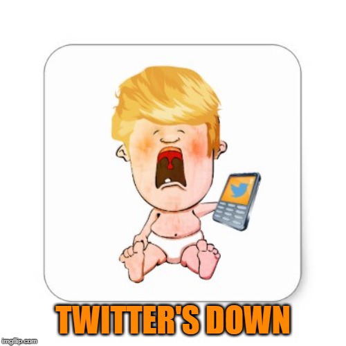President Crybaby | TWITTER'S DOWN | image tagged in president crybaby | made w/ Imgflip meme maker