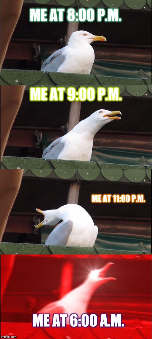 no sleep for me | ME AT 8:00 P.M. ME AT 9:00 P.M. ME AT 11:00 P.M. ME AT 6:00 A.M. | image tagged in memes,inhaling seagull | made w/ Imgflip meme maker