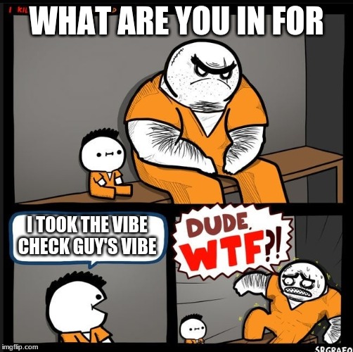 Srgrafo dude wtf | WHAT ARE YOU IN FOR; I TOOK THE VIBE CHECK GUY'S VIBE | image tagged in srgrafo dude wtf | made w/ Imgflip meme maker