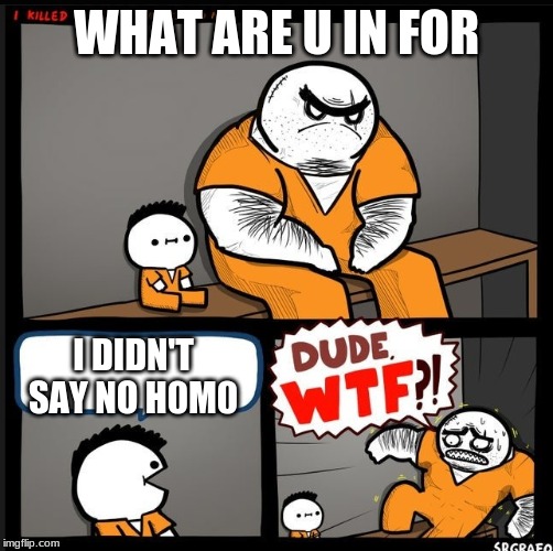 Srgrafo dude wtf | WHAT ARE U IN FOR; I DIDN'T SAY NO H0M0 | image tagged in srgrafo dude wtf | made w/ Imgflip meme maker