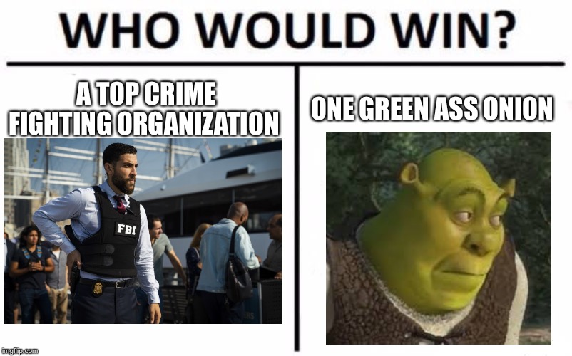 Who Would Win? | A TOP CRIME FIGHTING ORGANIZATION; ONE GREEN ASS ONION | image tagged in memes,who would win | made w/ Imgflip meme maker