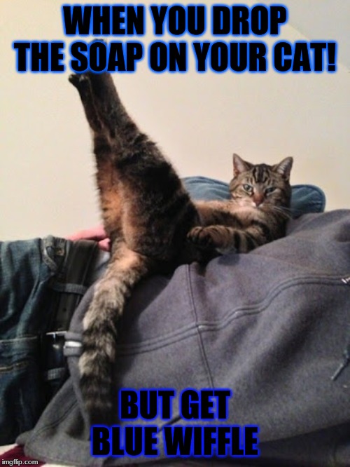 drop the soap | WHEN YOU DROP THE SOAP ON YOUR CAT! BUT GET BLUE WIFFLE | image tagged in funny memes | made w/ Imgflip meme maker