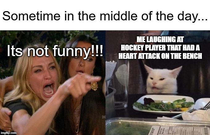 Woman Yelling At Cat Meme | Sometime in the middle of the day... ME LAUGHING AT HOCKEY PLAYER THAT HAD A HEART ATTACK ON THE BENCH; Its not funny!!! | image tagged in memes,woman yelling at cat | made w/ Imgflip meme maker