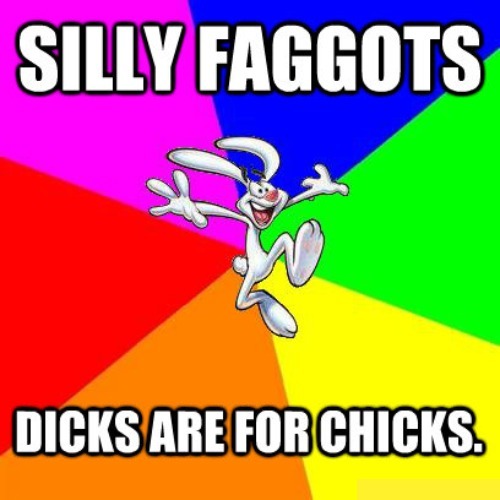 If you're also a proud anti-gay 'bigot' download, share, & repost this meme. | image tagged in silly faggot dicks are for chicks,faggot,queers,lgbtq,homosexual,homosexual agenda | made w/ Imgflip meme maker