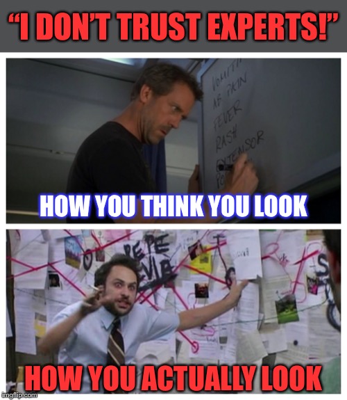 The opinions of all experts in all fields cannot be dismissed merely by citing the results of the 2016 presidential election. | “I DON’T TRUST EXPERTS!”; HOW YOU THINK YOU LOOK; HOW YOU ACTUALLY LOOK | image tagged in how i think i look,2016 election,expert,experience,science,global warming | made w/ Imgflip meme maker