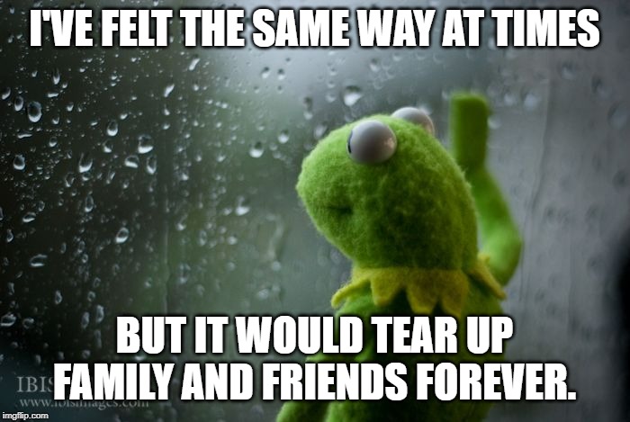 kermit window | I'VE FELT THE SAME WAY AT TIMES BUT IT WOULD TEAR UP FAMILY AND FRIENDS FOREVER. | image tagged in kermit window | made w/ Imgflip meme maker