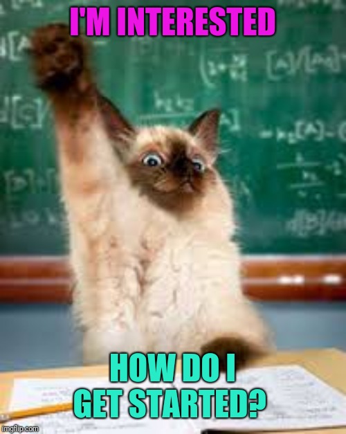 Raised hand cat | I'M INTERESTED HOW DO I GET STARTED? | image tagged in raised hand cat | made w/ Imgflip meme maker