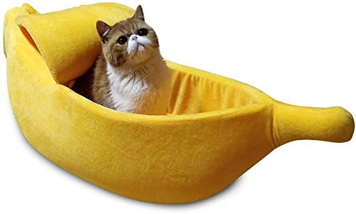 High Quality Banana Cat Blank Meme Template