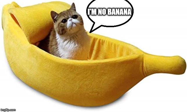 Banana Cat | I'M NO BANANA | image tagged in banana cat | made w/ Imgflip meme maker