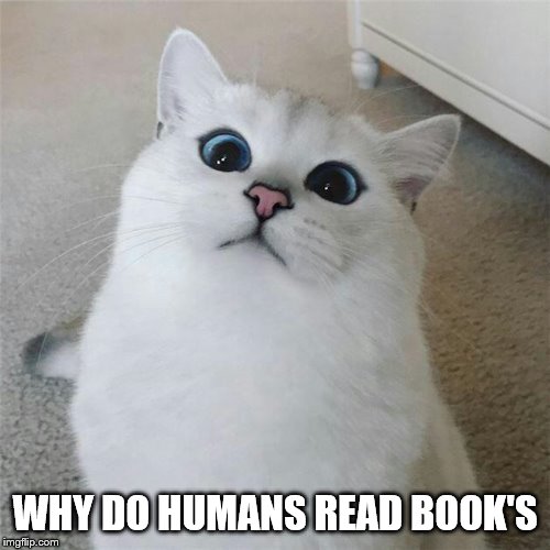 wat? | WHY DO HUMANS READ BOOK'S | image tagged in wat | made w/ Imgflip meme maker
